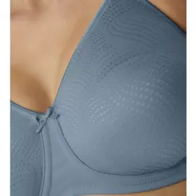 Essential Minimizer W, Provincial Blue