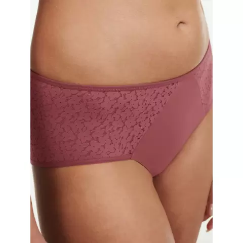 Norah Hipster, Sepia