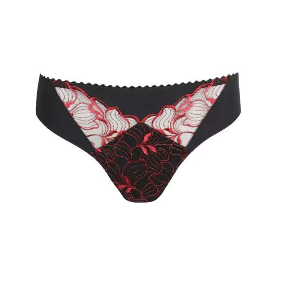 PrimaDonna - Springdale Tai, Black Rose