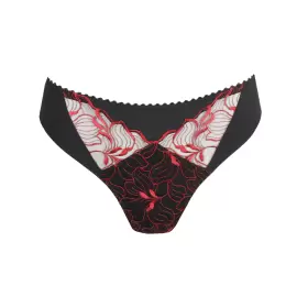 Springdale String, Black Rose