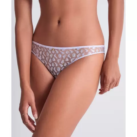 Crazy In Love Tai, Wisteria Crazy In Love Tai, Wisteria