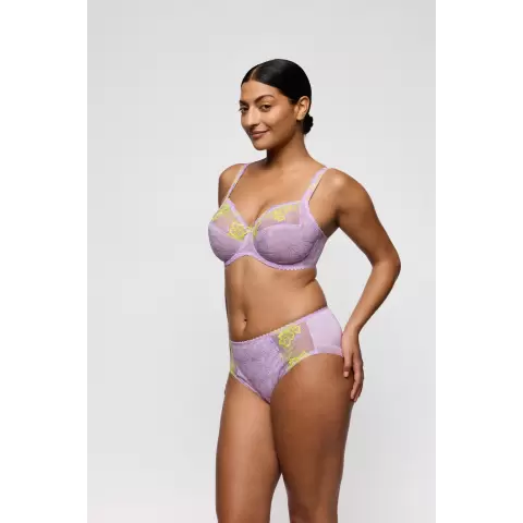Ixia Maxi, Wisteria