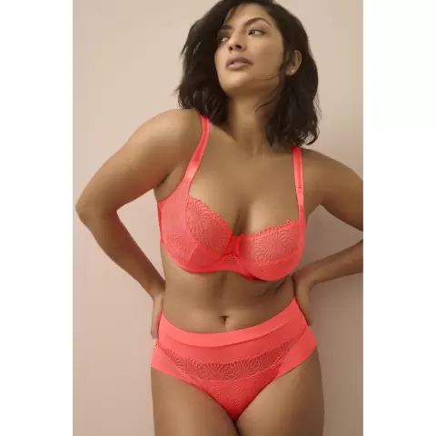 Sophora Full-Cup, Spritz